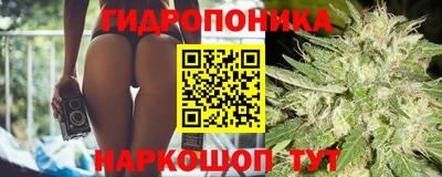 мяу мяу мука Будённовск